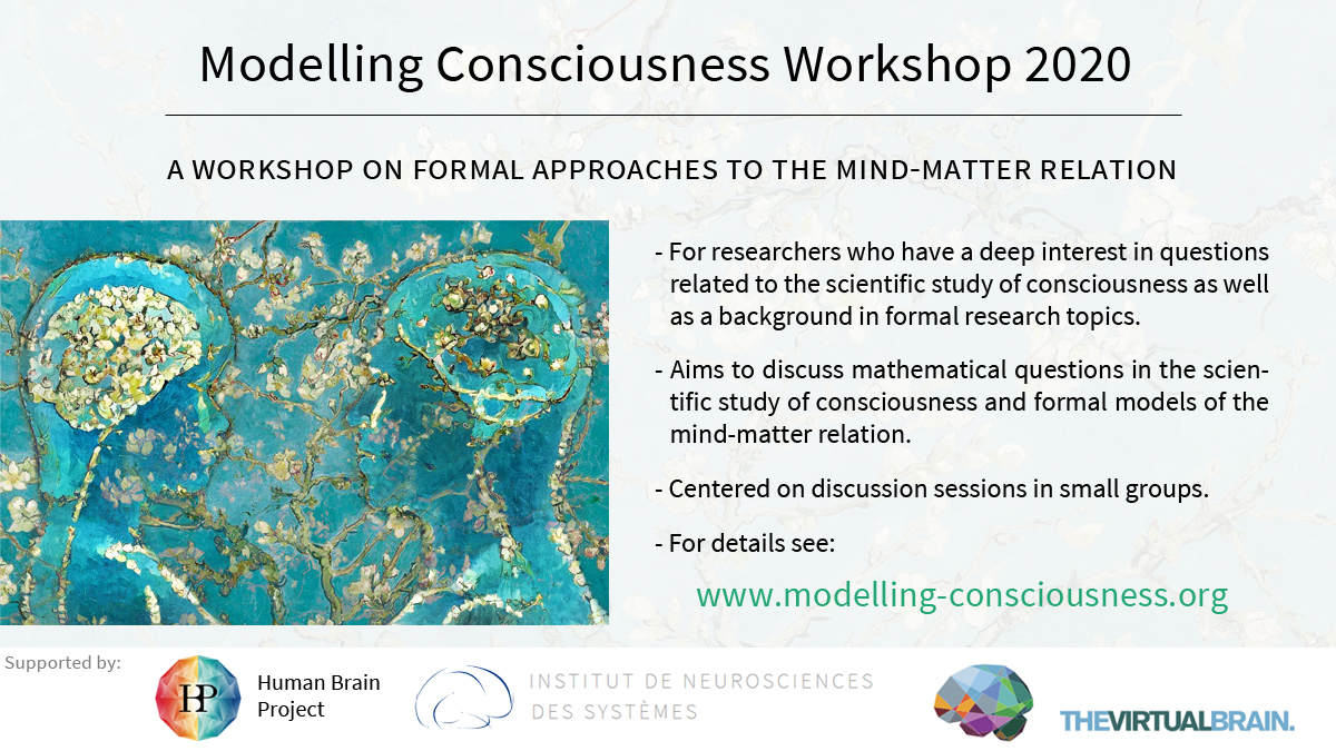 Modelling-Consciousness-Workshop-2020